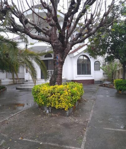 فروش وبلا 516 متری با سند تک برگ در متل قو مازندران