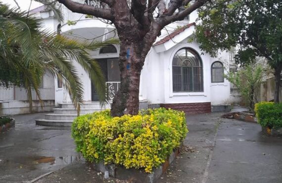 فروش وبلا 516 متری با سند تک برگ در متل قو مازندران