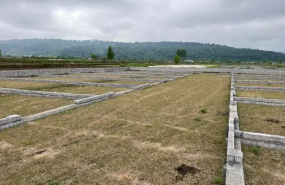 فروش زمین 2380 متری دو نبش با سند تک برگ در مازندران