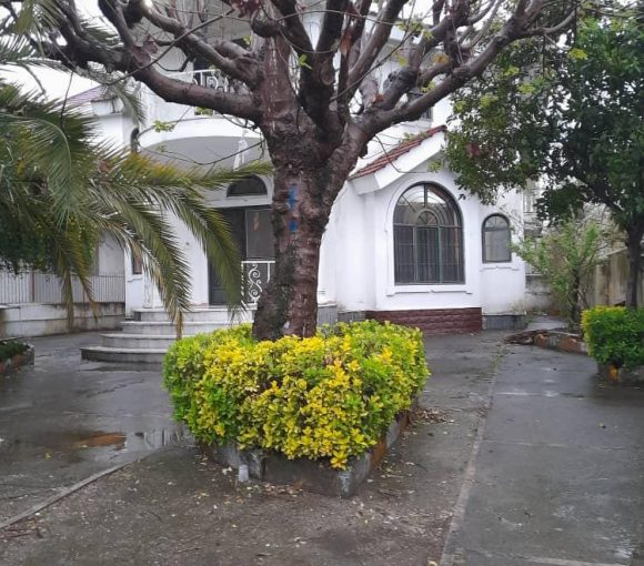 فروش وبلا 516 متری با سند تک برگ در متل قو مازندران