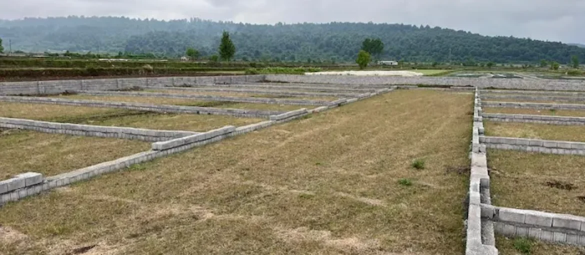 فروش زمین 2380 متری دو نبش با سند تک برگ در مازندران